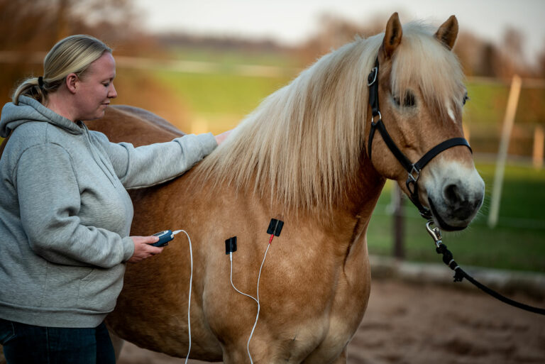 Mobile Tierphysiotherapie Büttgenbach Kontaktaufnahme